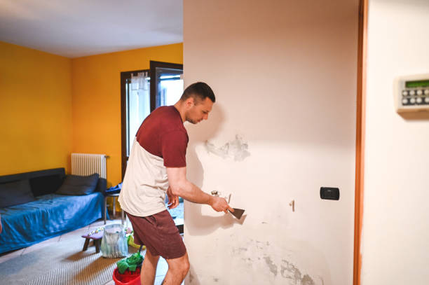 Best Black Mold Removal  in Dormont, PA